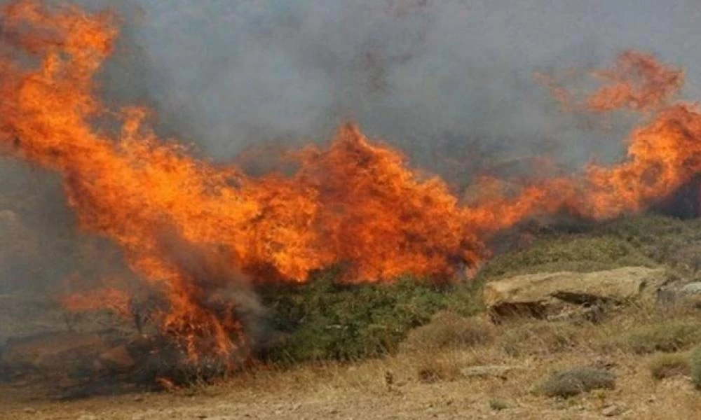 Σε εξέλιξη βρίσκεται η φωτιά στη Θίσβη Βοιωτίας